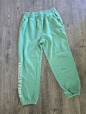 American Eagle Outfitters Green Fleece Sweatpants